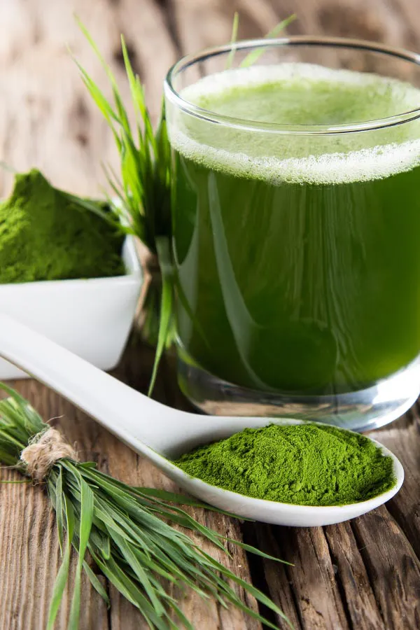 Green herbs, juices and vegetables. Get Immune Boost injections from Don D. Fisher, D.O. at The BEST Program in Fort Lauderdale.